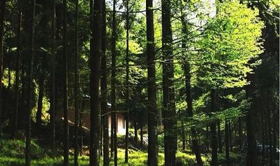 圖說(shuō)巴中美景 | 林木蔥蘢清風(fēng)爽，康養(yǎng)勝地天馬山